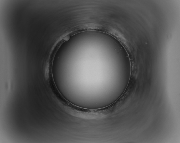 X0000100480012200806131239