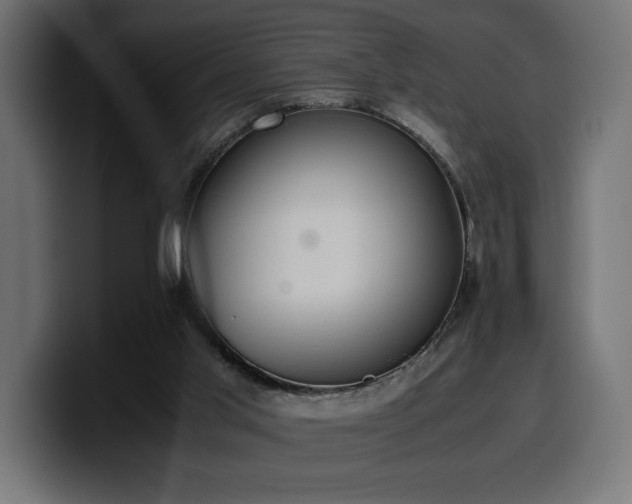 X0000100480013200806131239
