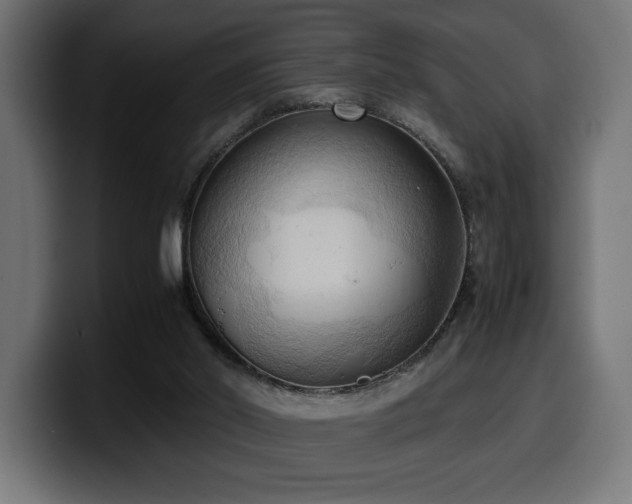 X0000100480014200806131239