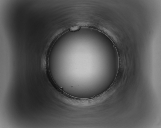 X0000100480015200806131239