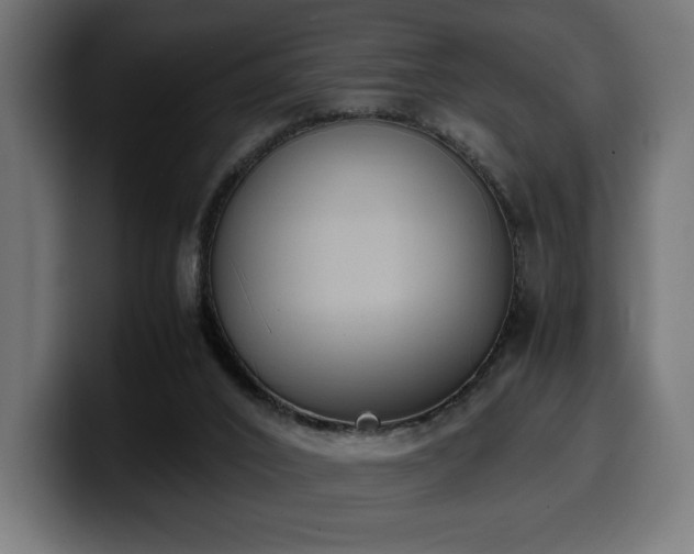 X0000100480016200806131239
