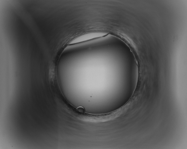 X0000100480017200806131239