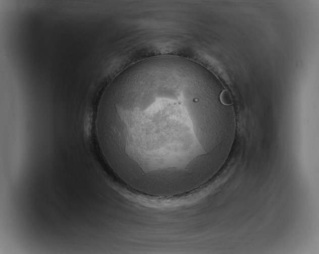 X0000100480018200806131239