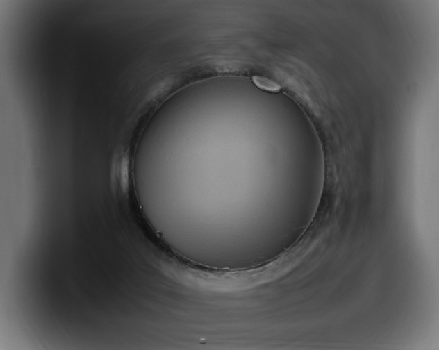 X0000100480019200806131239