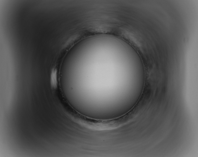 X0000100480020200806131239