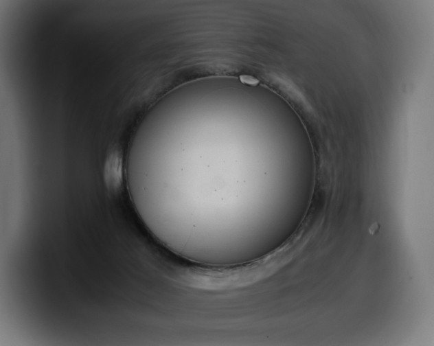 X0000100480021200806131239
