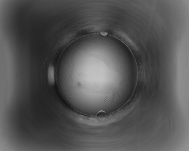 X0000100480022200806131239