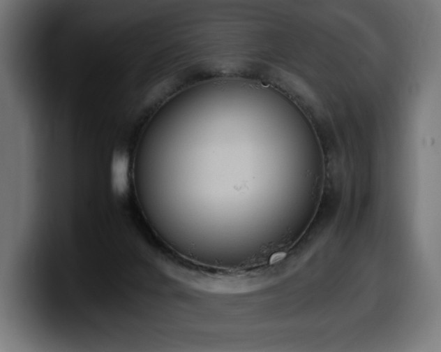 X0000100480024200806131239