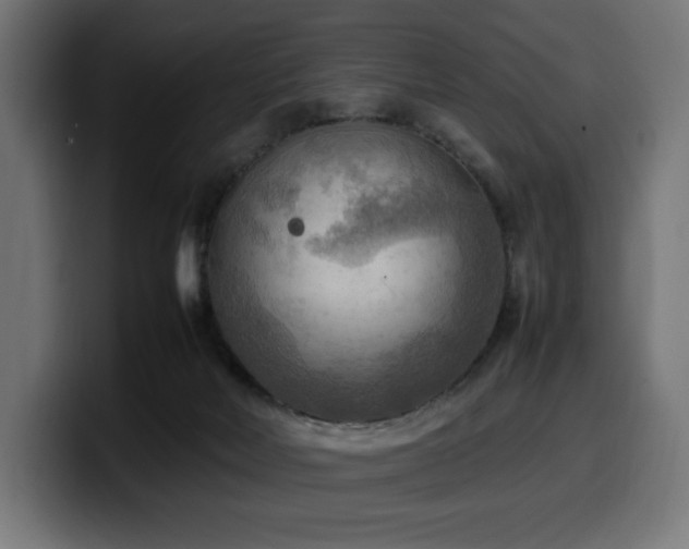 X0000100480026200806131239