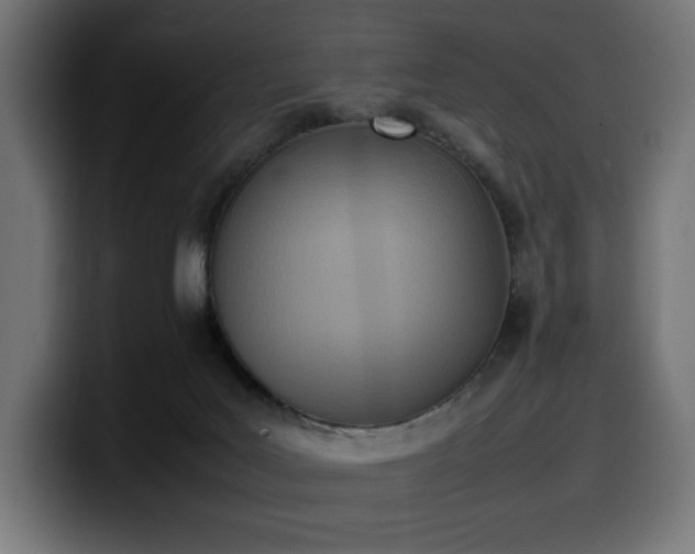 X0000100480027200806131239