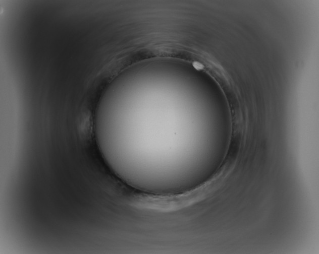 X0000100480029200806131239