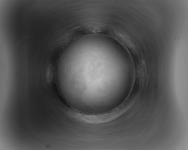 X0000100480030200806131239
