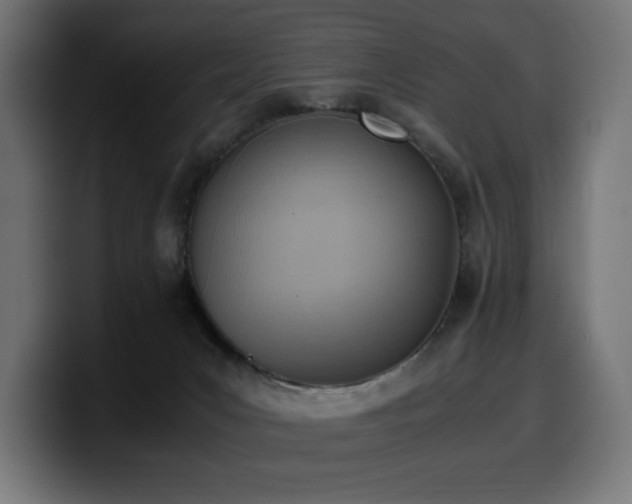 X0000100480031200806131239