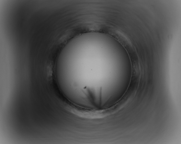 X0000100480032200806131239