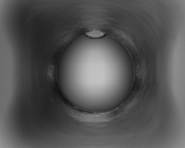X0000100480036200806131239