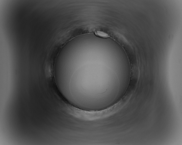 X0000100480039200806131239