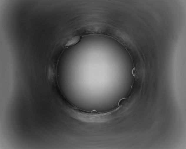 X0000100480040200806131239