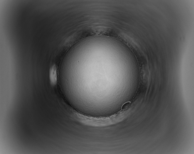 X0000100480042200806131239