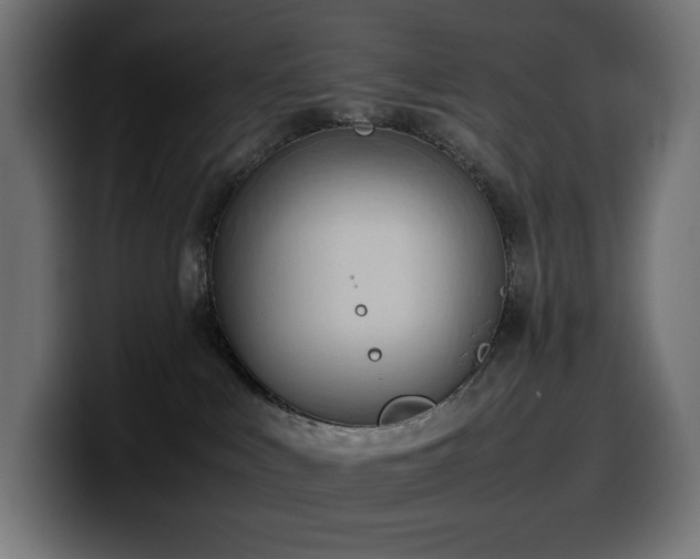 X0000100480043200806131239
