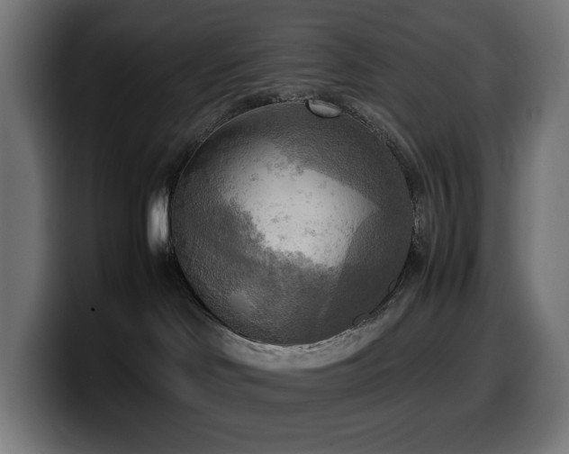 X0000100480046200806131239