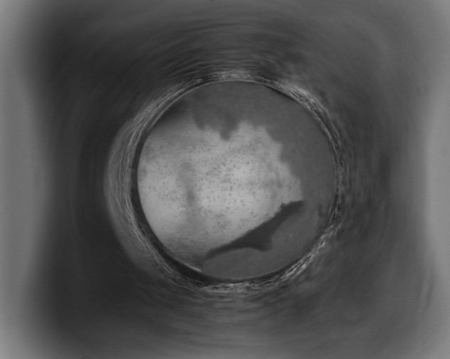 X0000100480049200806131238