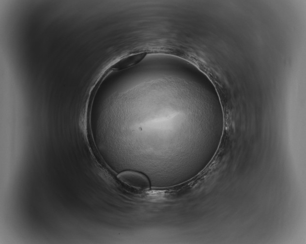 X0000100480052200806131238
