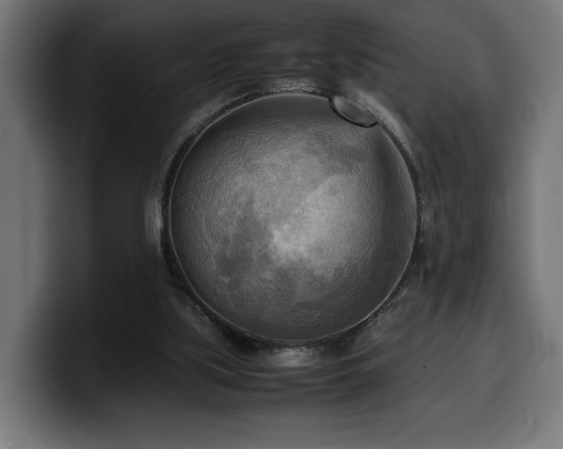 X0000100480059200806131238