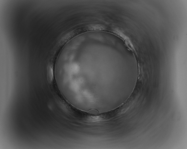 X0000100480061200806131238