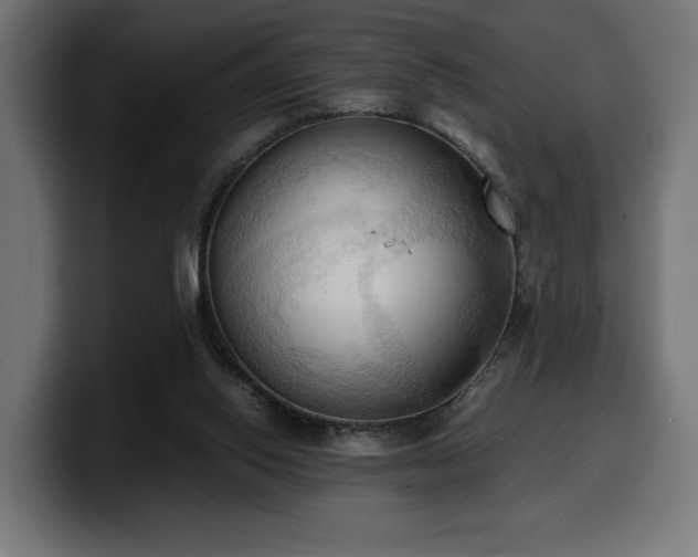 X0000100480062200806131238