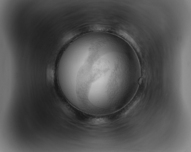 X0000100480063200806131238