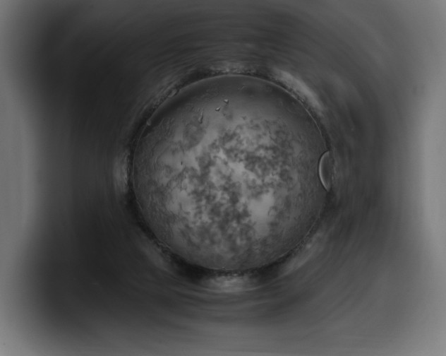 X0000100480065200806131238