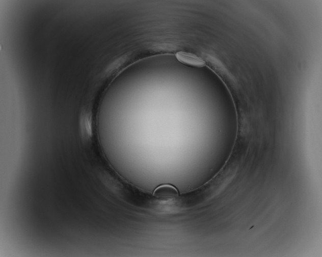 X0000100480068200806131238