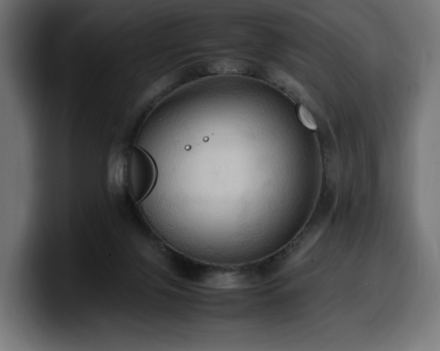 X0000100480071200806131238
