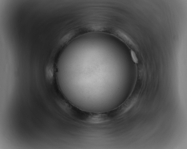 X0000100480072200806131238