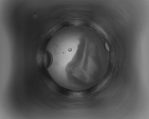 X0000100480073200806131238