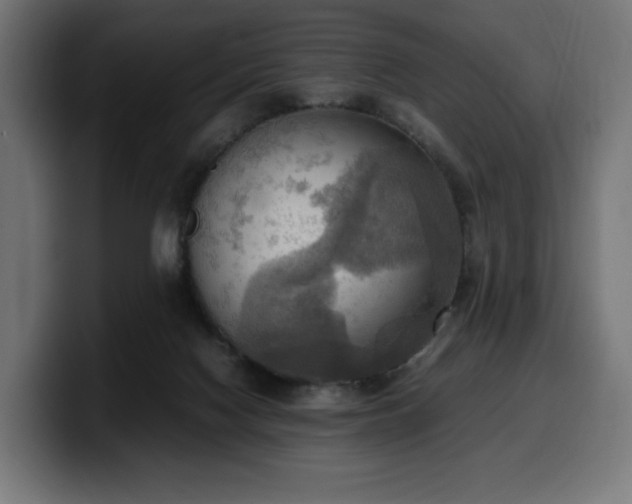 X0000100480074200806131238