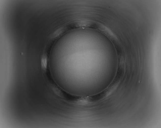 X0000100480076200806131238