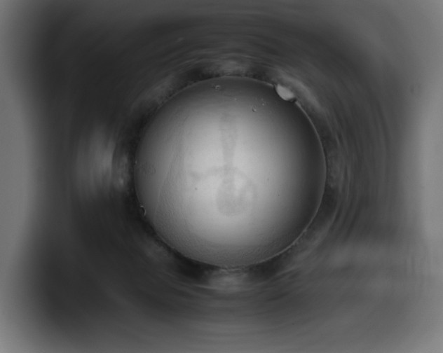 X0000100480077200806131238