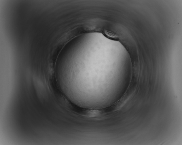 X0000100480085200806131238