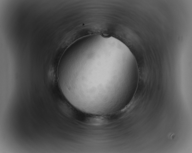 X0000100480086200806131238