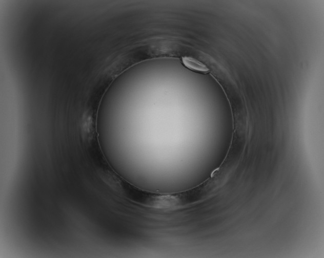 X0000100480087200806131238