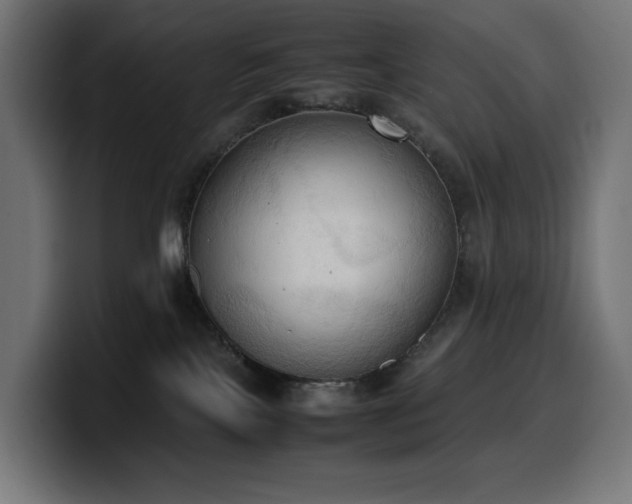 X0000100480089200806131238