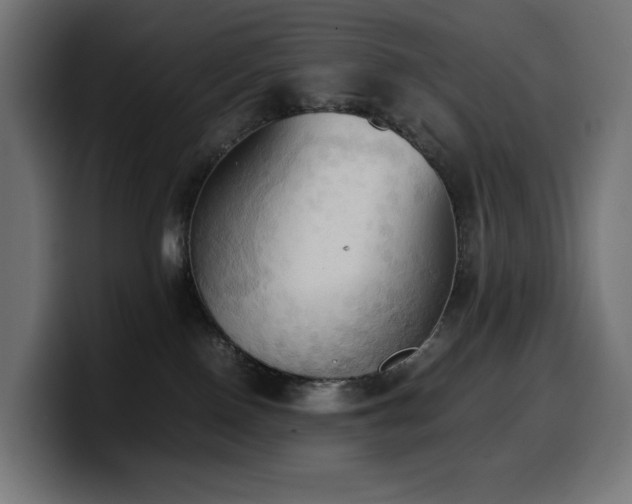 X0000100480090200806131238