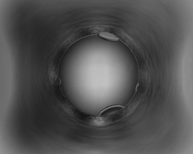 X0000100480091200806131238