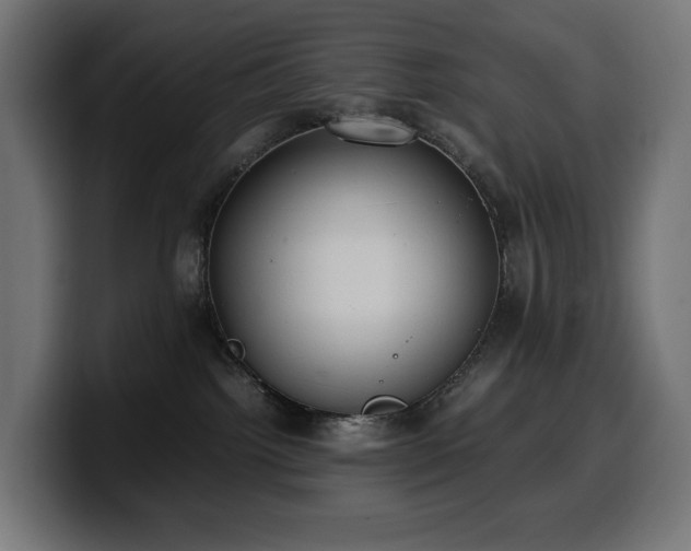 X0000100480092200806131238