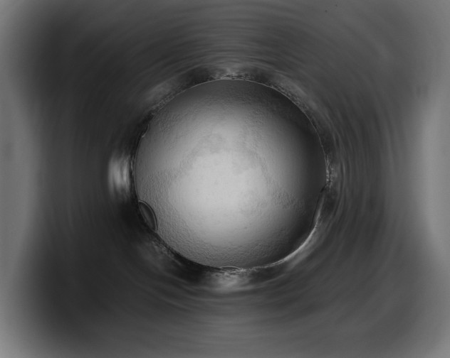 X0000100480094200806131239