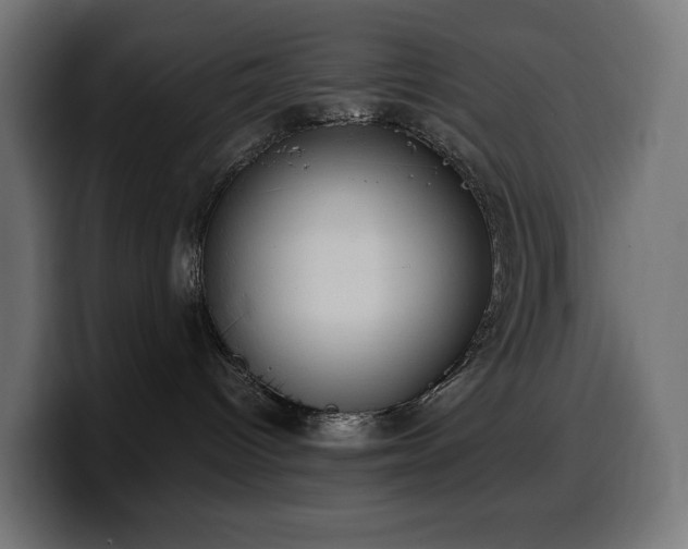 X0000100480096200806131239