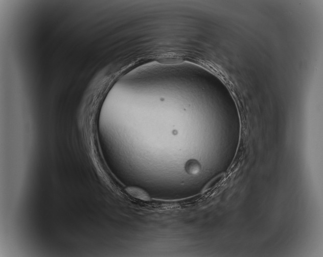 X0000100480097200806131238