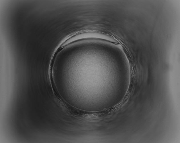 X0000100480100200806131238