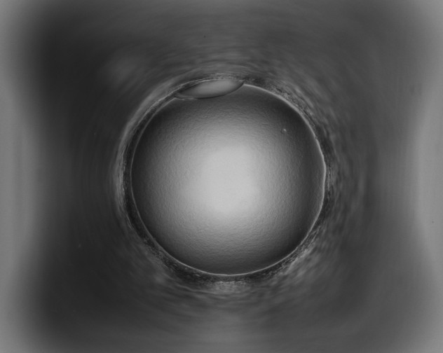 X0000100480101200806131238